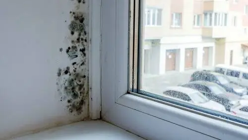 Fenster mit Schimmelbefall